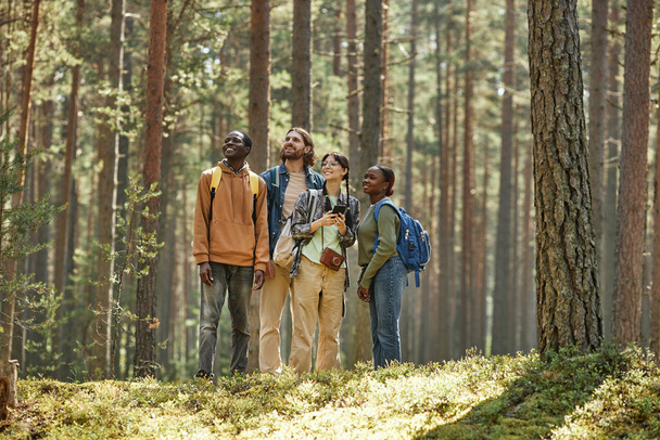 Ομάδα νέων που απολαμβάνουν τη φύση ενώ στέκονται στο δάσος κατά τη διάρκεια της πεζοπορίας - Φωτογραφία, εικόνα