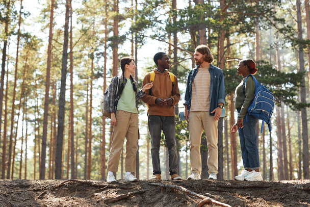 Ομάδα φίλων με σακίδια συζητούν το ταξίδι τους ενώ στέκονται στο λόφο στο δάσος - Φωτογραφία, εικόνα
