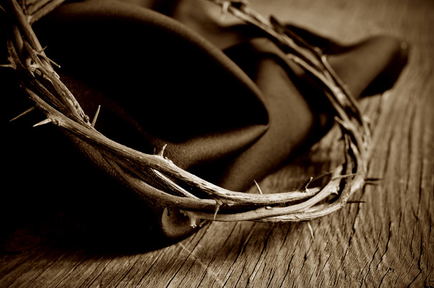 trnovou korunou Ježíše Krista - Fotografie, Obrázek