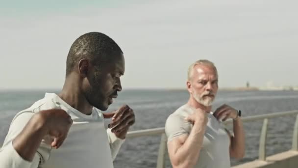 Tiro medio de entrenador de fitness afroamericano explicando y demostrando el ejercicio de hombro al hombre mayor mientras se calienta antes del entrenamiento al aire libre en la orilla del río en la ciudad - Metraje, vídeo