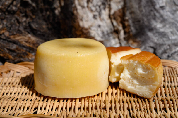 Eri Cantabrian juustot valmistettu lehmän, vuohen ja lampaan melkistä maanviljelijöiden juustokauppa, vuoret Cantabria, Pohjois-Espanja - Valokuva, kuva