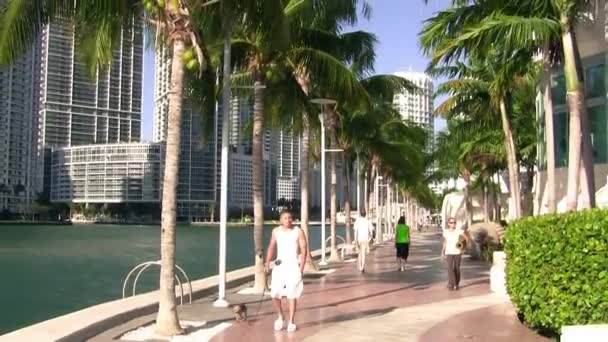 Miami, FL - 2009. április 11.: Az emberek lazítanak a város folyóparti sétányán. - Felvétel, videó