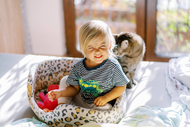 Little laughing girl sitting in a cat bed next to a sitting cat on the bed. High quality photo - Photo, Image
