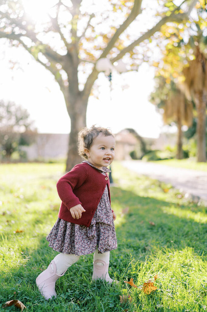 Kis mosolygós lány sétál a zöld füvön a parkban, integet a kezével. Kiváló minőségű fénykép - Fotó, kép