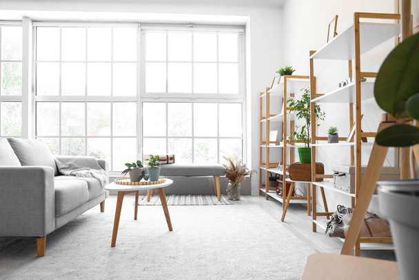 Moderni olohuone sisustus sohvalla, hyllyt, sohvapöytä ja harmaa penkki - Valokuva, kuva