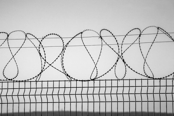 Barbed wire  - Photo, Image