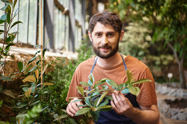 красивый и счастливый садовник в джинсовом фартуке смотрит в камеру вокруг зеленых листьев в оранжерее - Фото, изображение