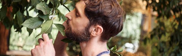 bien parecido jardinero barbudo en delantal de mezclilla examinar hojas frescas de plantas en invernadero, bandera - Foto, imagen