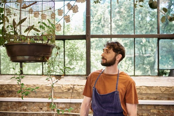 jardinero guapo y alegre en delantal de mezclilla examinando hojas frescas en jaula de aves en invernadero - Foto, imagen