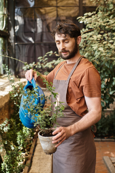 good looking and bearded gardener in denim apron watering plants in greenhouse, horticulture concept - Photo, Image