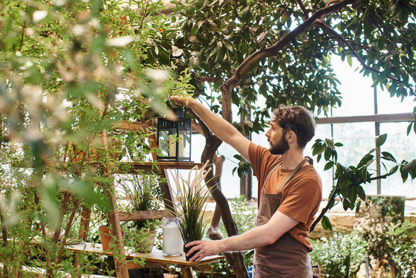 красивый бородатый садовник в льняном фартуке держит винтажную лампу возле стойки с растениями в теплице - Фото, изображение