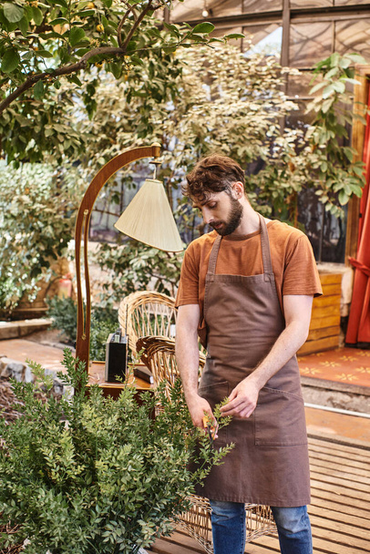 jardineiro profissional no ramo de corte de avental de linho no arbusto com tesoura de jardinagem em estufa - Foto, Imagem
