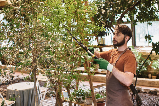 jardineiro bonito no ramo de corte de avental de linho na árvore com grande tesoura de jardinagem em estufa - Foto, Imagem