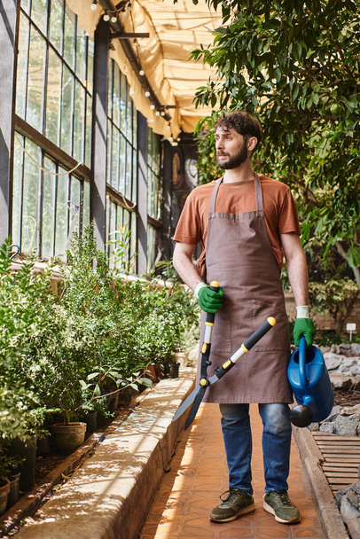jardinero barbudo en guantes y delantal que sostiene grandes tijeras de jardinería alrededor de las plantas en invernadero - Foto, imagen