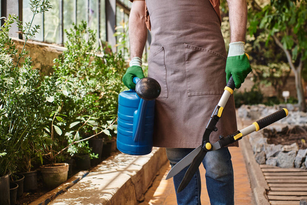 Eldivenli ve önlüklü kesilmiş bahçıvan elinde büyük bahçe makası ve serada sulama kovası tutuyor. - Fotoğraf, Görsel