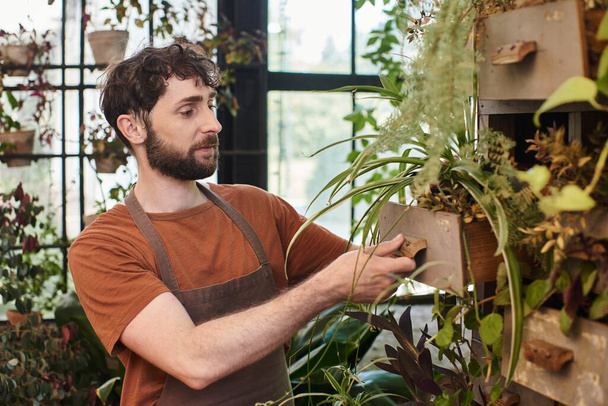 handsome and bearded gardener in apron checking leaves of plant in greenhouse, green thumb - Photo, Image