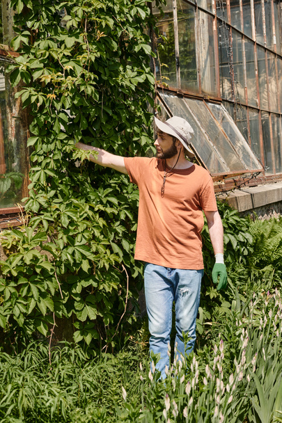 handsome and bearded gardener in sun hat examining plant near modern greenhouse in countryside - Foto, imagen