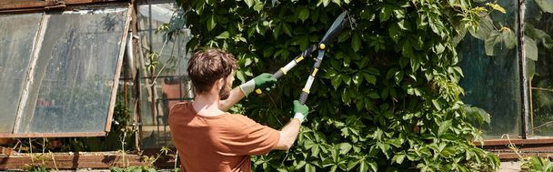 bearded gardener in gloves cutting twigs on green tree with big gardening scissors, banner - Photo, Image