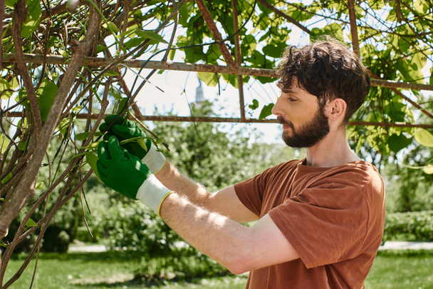 όμορφος και γενειοφόρος κηπουρός που εξετάζει κλαδιά πράσινου δέντρου ενώ εργάζεται σε εξωτερικούς χώρους - Φωτογραφία, εικόνα