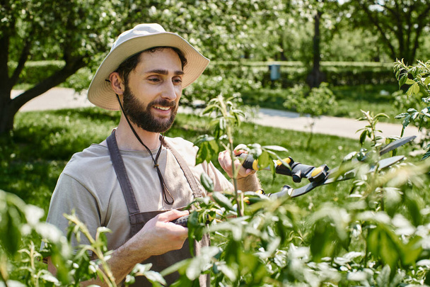 szczęśliwy ogrodnik w kapeluszu słonecznym przycinanie gałązki drzewa z dużymi nożyczkami ogrodniczymi i pracy na zewnątrz - Zdjęcie, obraz