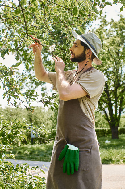 Güneş şapkalı ve keten önlüklü sakallı bahçıvan dışarıda çalışırken ağaçların yeşil yapraklarını inceliyor. - Fotoğraf, Görsel