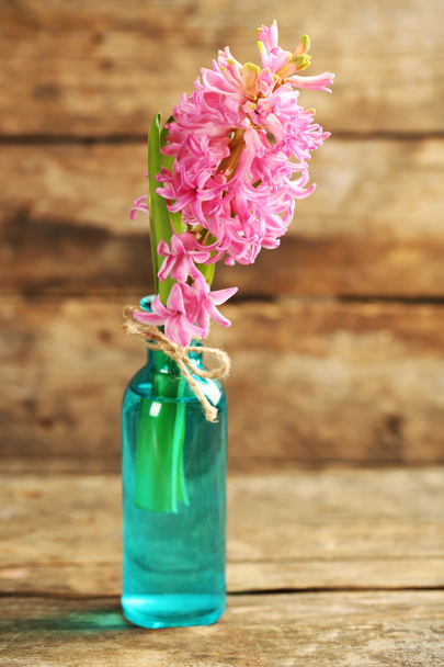 Beautiful hyacinth flower in vase on wooden background - Foto, immagini