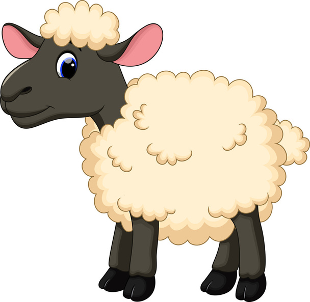 Милый овечий мультфильм - Вектор,изображение