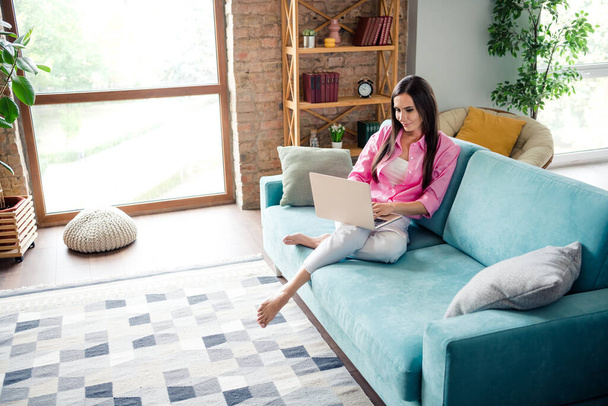 Photo of shiny positive young lady dressed pink shirt sitting couch typing modern device indoors house room. - Foto, Imagem