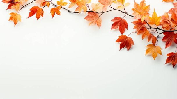 Sonbahar renklerinde renkli yapraklarla bembeyaz bir arkaplanda sonbahar çerçevesi. Yapay zeka - Fotoğraf, Görsel