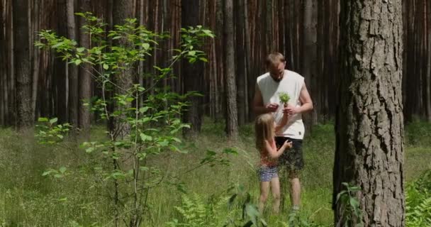 Dad and daughter collect edible wild berries in a green summer forest. Wildlife and ecology concept, slow motion. - Footage, Video