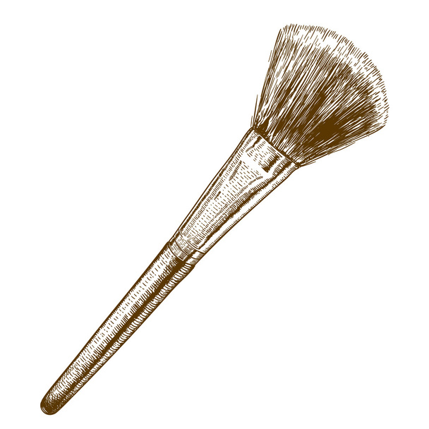 engraving antique illustration of make-up brush - Vector, Image