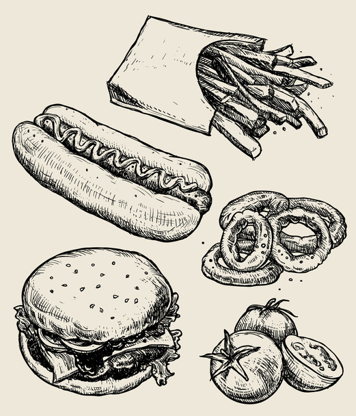 Vector hand drawn food emblems and illustrations. Fast Food set. Hamburger, french fries, tomatoes, hot dog. - Вектор, зображення