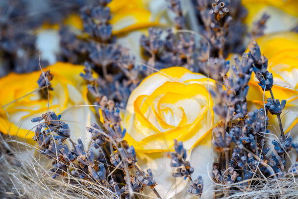 Желтая роза занимает центральную сцену контраста с окружающими сухими растениями - Фото, изображение