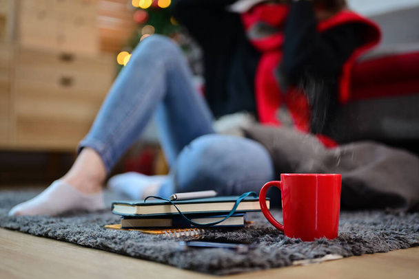 Tasse heiße Schokolade und Bücher auf Teppich in einem gemütlichen Wohnzimmer. Weihnachts-, Winter- und Ferienkonzept. - Foto, Bild