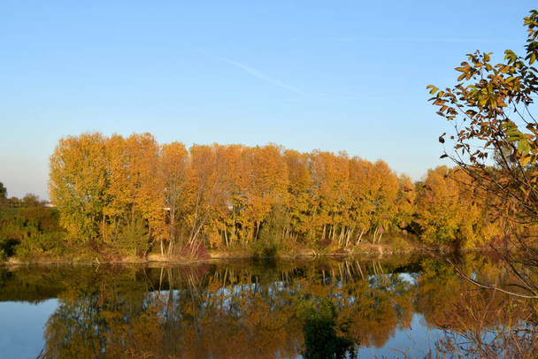 I colori dell'autunno sulle rive del Po - Foto, immagini
