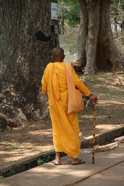 Old monk - Photo, Image