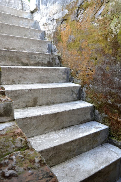 Escaliers en béton
  - Photo, image