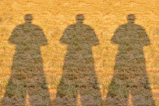 Тінь трьох фотографів Людина на полі
 - Фото, зображення