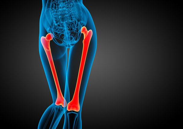 Ilustração médica 3D do osso da pelve  - Foto, Imagem