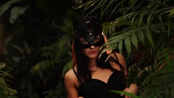 Szexi nő egy BDSM-ben macska maszkban pózol egy trópusi kertben pálmafák között. BDSM koncepció.4k - Felvétel, videó