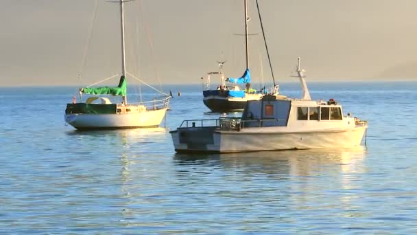 Luxury yachts in corsair bay - Footage, Video