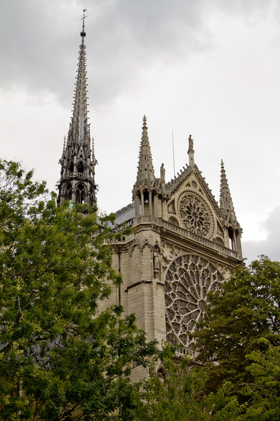 Notre Dame Kathedrale Rückseite - Foto, Bild