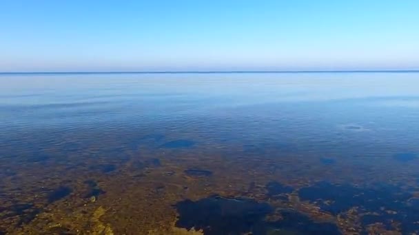 Κίεβο θάλασσα το φθινόπωρο στο ηλιοβασίλεμα, αριστερή όχθη - Πλάνα, βίντεο