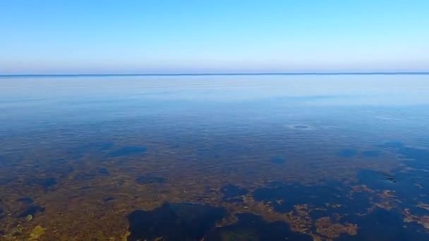 Kiev mar en otoño al atardecer, orilla izquierda - Metraje, vídeo