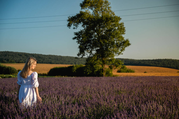 Panoramiczne zdjęcie, dziewczyna w białej letniej sukience spaceruje przez pole lawendy, ciepły zachód słońca. Pola lawendowe w pobliżu Lwowa, Ukraina. Kwitnąca lawenda latem. Skupienie selektywne - Zdjęcie, obraz