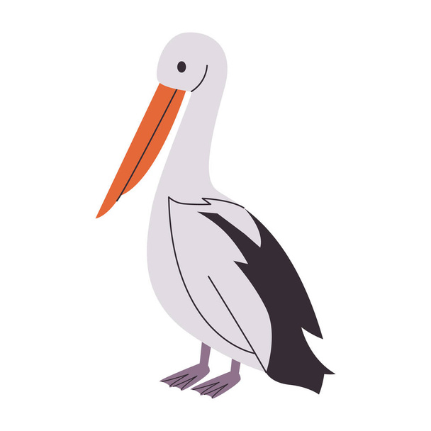 Australische pelikaan wit en zwart kleur watervogel wild natuur dier met nek en lange snavel vector - Vector, afbeelding
