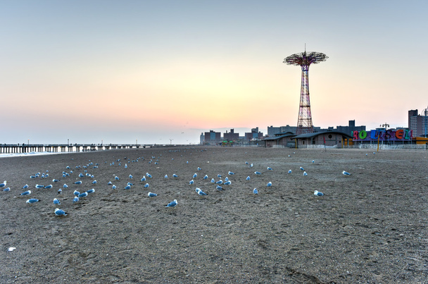 praia com gaivotas
 - Foto, Imagem