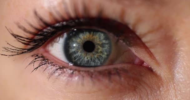 Κοντινό πλάνο της γυναίκας σμαραγδένιο μπλε μάτι. Οφθαλμίατρος και τέλεια όραση - Πλάνα, βίντεο