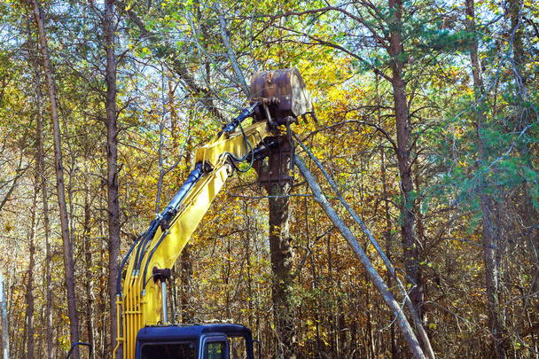 Строитель использует трактор для выкорчевания деревьев при подготовке к строительству - Фото, изображение