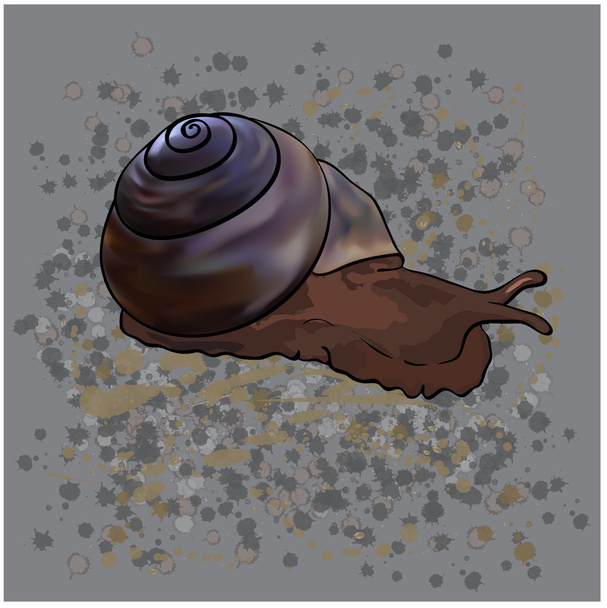 Snail - Vector, Image
